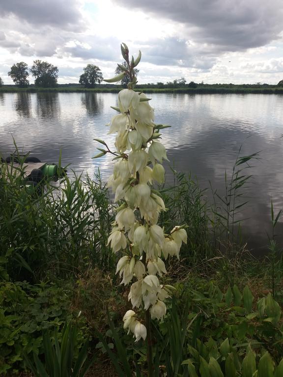 Апартаменты Nad Odra Widuchowa Экстерьер фото